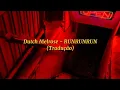 Download Lagu Dutch Melrose - RUNRUNRUN (Tradução)