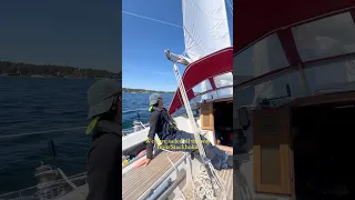 4 months living aboard, 7 countries sailed🙂‍↕️ #sailing #boatlife #sailing life #sailboat