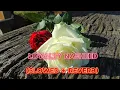 Download Lagu Loyalty Nasheed(Slowed + Reverb) / by Muhammad al Muqit /ISLAMIC VIBE
