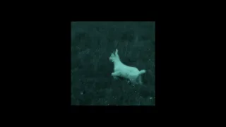  d2s1 playlist slowed 