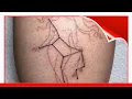 230 Virgo Tattoo Designs 2020 Zodiac Horoscope Constellation Ideas