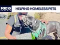 Phoenix nonprofit helps homeless and their pets FOX 10 Phoenix