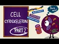 Cell Cytoskeleton Part 2 Microfilaments and Intermediate Filaments Cell Biology