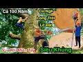 Download Lagu Super Terrible Earth-Shattering Fall: The Monkey King of the West Unexpectedly Sawed Down a 100-Y...