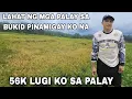 Download Lagu Bakit?? Ibinigay ko na ang mga palay ko sa bukid 56k lugi ko sa isang area walang presyo palay