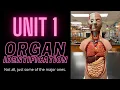Basic Organ Identification of the Human Body