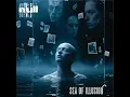 6 NULL - Sea Of Illusion SILENCE 2025
