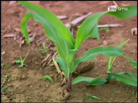 Ecuador Agropecuario 21-05-2018