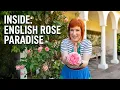 Inside the famous DAVID AUSTIN ROSE GARDEN in England