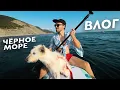 Download Lagu SUP SWIMMING ON THE BLACK SEA / SUKKO / BOLSHOY UTRISH / VLOG