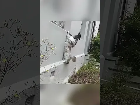 Best Hunter? 💀