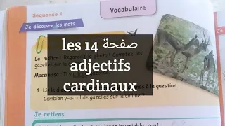 5 ابتدائي درس صفحة 14 Les Adjectifs Cardinaux المتنقلين سنة خامسة دروس مهمة 