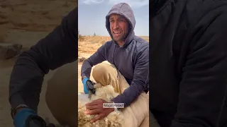 أهازيج الجز الزاز اجواء الجنوب 