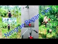 Download Lagu Bari nengrae o'ani