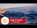 Download Lagu Senja \u0026 Tromsø