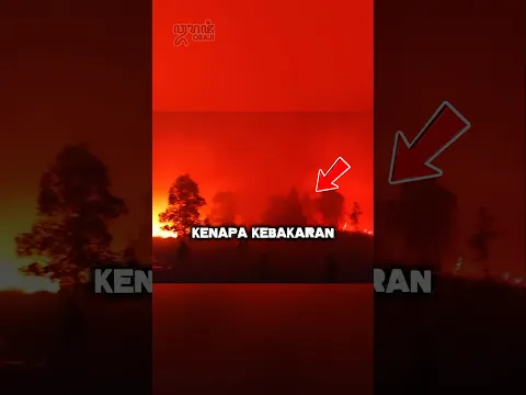 π₯ Kalimantan: Kenapa Kebakaran Hutan Sulit Dipadamkan?