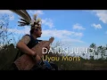 Download Lagu Datun Julut - Uyau Moris  (Traditional Instrument From Dayak Kenyah/Orang Ulu  Borneo)