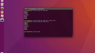 Linux Basics Basic Input Output and File Redirection