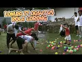 Download Lagu Bola Corong Bikin Geger!!! Mas Garuda Turun Tangan
