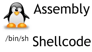 How to build a shellcode in assembly NASM