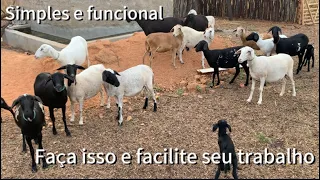 Manejo com as ovelhas, simples e funcional. Faça isso e melhore seu trabalho no dia a dia
