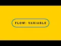Salesforce Flows Variables