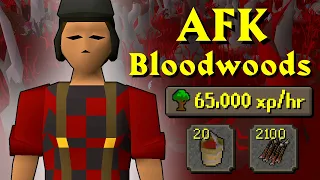 AFK Bloodwood Guide