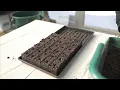 Johnny s 10-Cell Handheld Soil Blocker