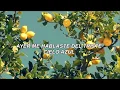 Download Lagu Lemon Tree - Fools Garden; Español