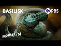Download Lagu Basilisk or Cockatrice? The Mysterious King of Serpents | Monstrum