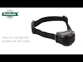 How to change probes on PetSafe In-Ground and Wireless Fence Collars