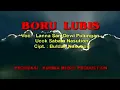Download Lagu Boru Lubis - Lanna Sari Dewi Pulungan | Ucok Sabata Nasution