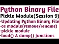 how to update data in Python binary file data updating in complex objects in Python file handling