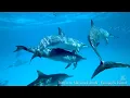 4k Flying Over The World with Relaxation Music