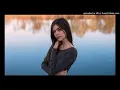 Download Lagu Dil Le Gya Hindi Remix By Dj Gurmeet Nigana -320KBPS