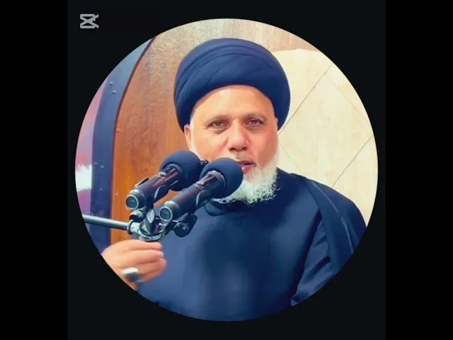 ⁣الأنصار مشروع الإمام الحسين (ع) الدائم / السيد محمد حسن الموسوي .