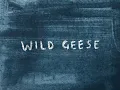 Wild Geese - Mary Oliver poem animation