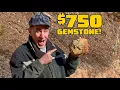 I Hit the Jackpot at Georgia s Hogg Mine