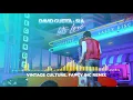 David Guetta & Sia - Let's Love (Vintage Culture, Fancy Inc remix)