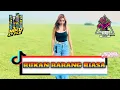 Lagu DJ BUKAN BARANG BIASA ADHY BOIMAU X REVAN MANAFE MOKE STYLE 2025