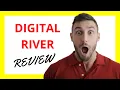 Digital River Review Pros and Cons