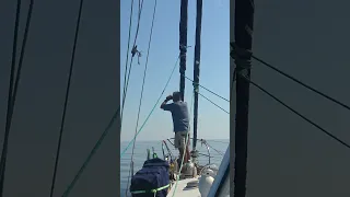 Sailing to an Island Wildlife Paradise