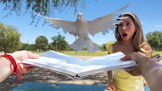 Magician POV: They Never See It Coming...