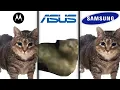 Download Lagu OIIAOIIA Cat but famous phone ringtones