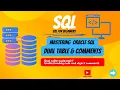 SQL Basics - Part 4 Comments the Dual Table Explained