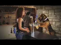 Top 10 Funniest Budweiser Commercials of ALL TIME MOT HILARIOUS Bud Light Beer Ads EVER