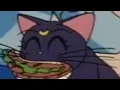 Luna eats an entire sandwich Sailor Moon