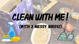 Clean Up After 3 Birds With Me!