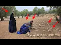Download Lagu Masoud and Narges Khanum go to the grave of Narges' sister and Masoud's mother comes to the grave.