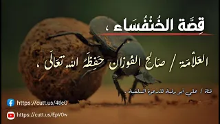 قصة الخنفساء العلامة صالح بن فوزان الفوزان حفظه الله 